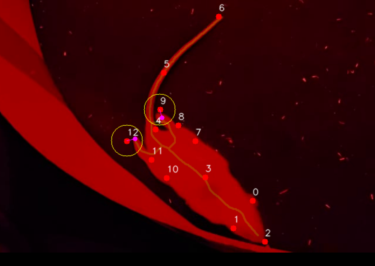 Motion Analysis Thesis